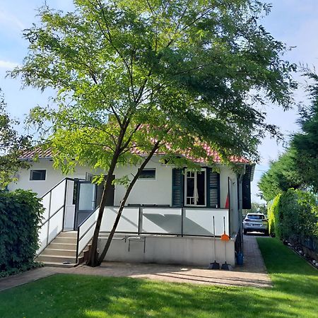 Traumlage Direkt Am See Balatonszemes Luaran gambar