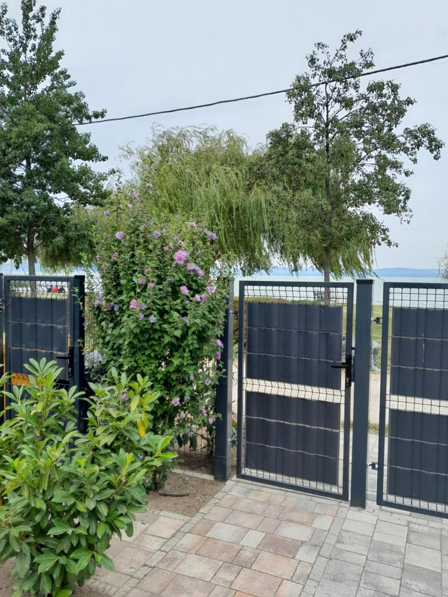 Traumlage Direkt Am See Balatonszemes Luaran gambar